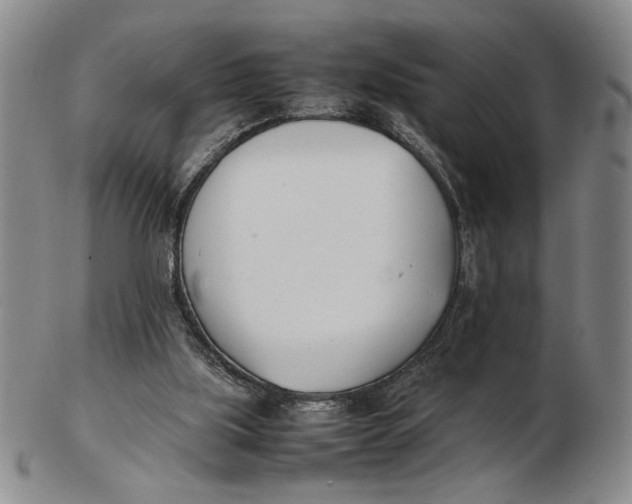 X0000102760059200809080951