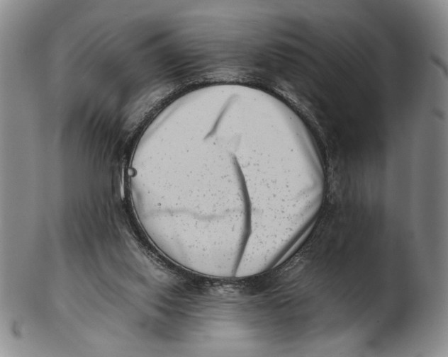 X0000102760062200809080951