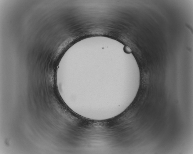 X0000102760064200809080951