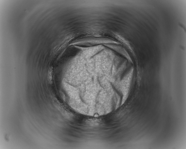 X0000102760065200809080951