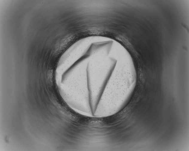 X0000102760066200809080951