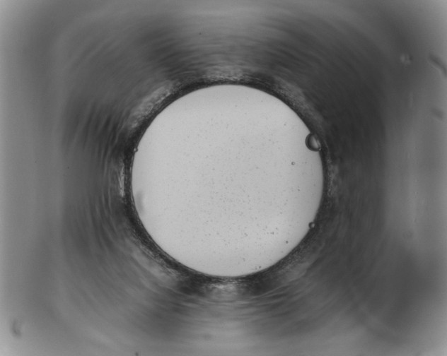 X0000102760068200809080951