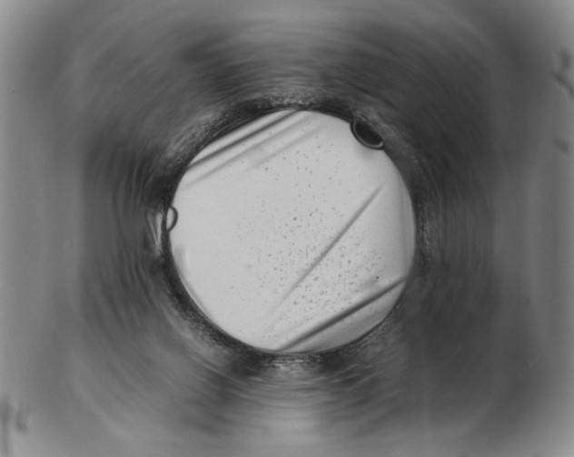 X0000102760070200809080951