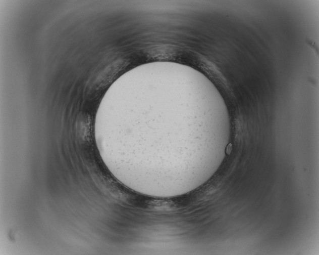 X0000102760073200809080951