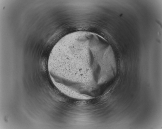 X0000102760074200809080951