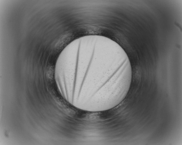 X0000102760078200809080951