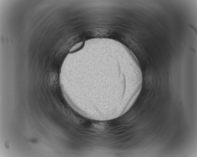 X0000102760079200809080951