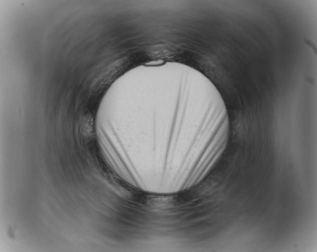 X0000102760081200809080951