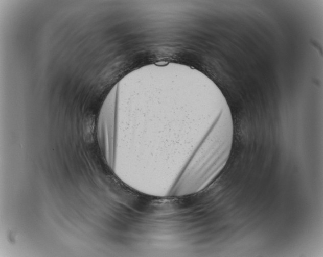 X0000102760082200809080951