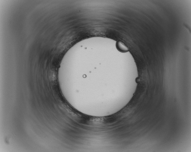 X0000102760084200809080951