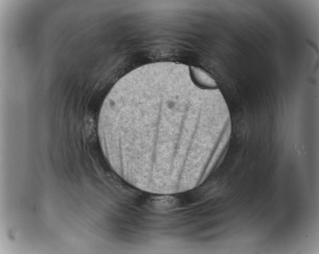 X0000102760087200809080951