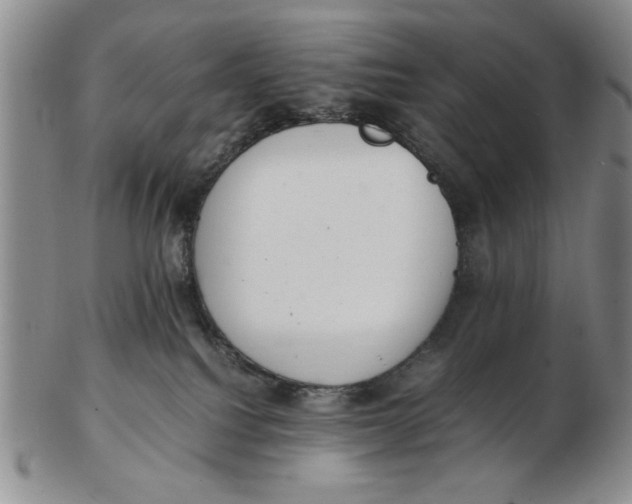 X0000102760088200809080951