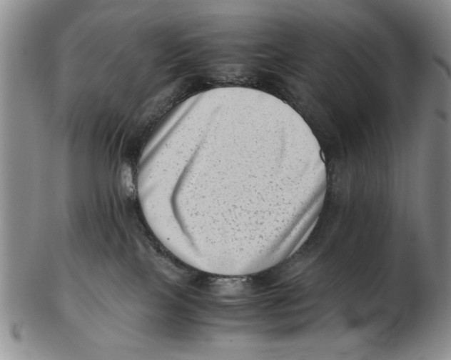 X0000102760089200809080951