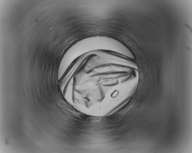 X0000102760096200809080951