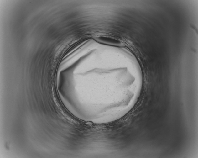 X0000102760097200809080951