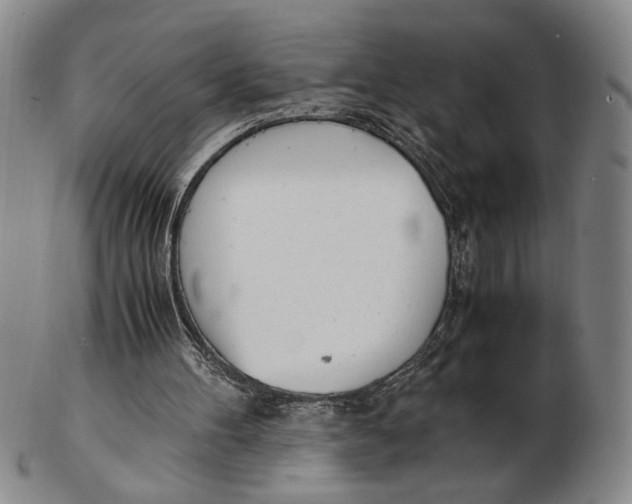 X0000102760100200809080951