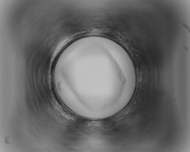 X0000102760102200809080950