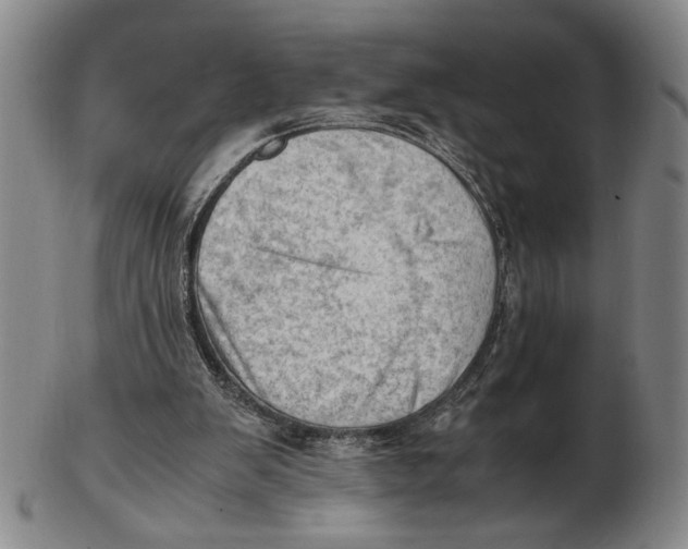 X0000102760103200809080950