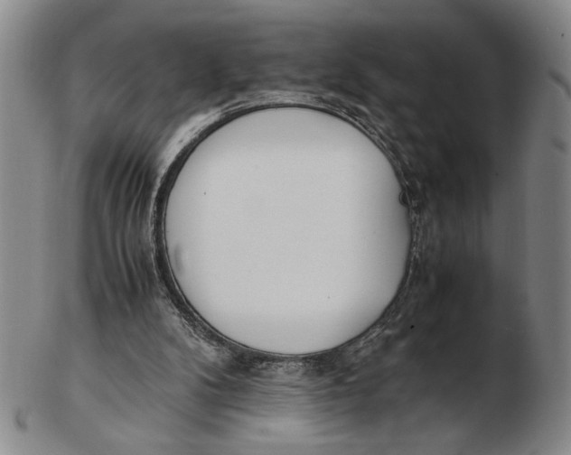 X0000102760104200809080950