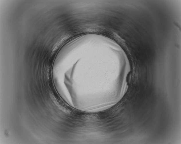 X0000102760106200809080950