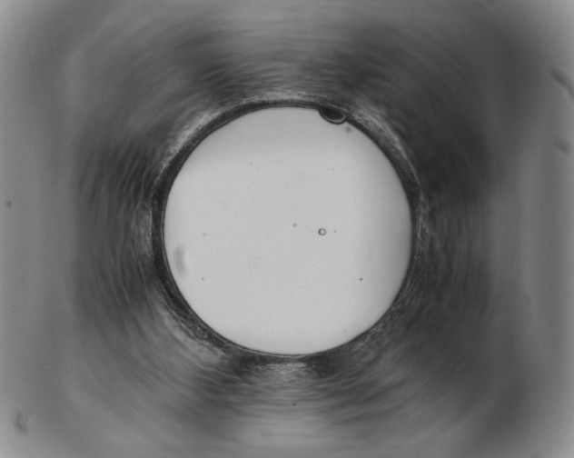 X0000102760108200809080950