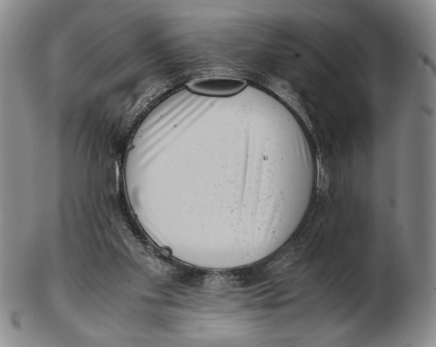 X0000102760109200809080950