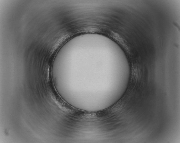 X0000102760110200809080950