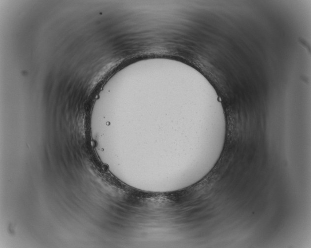 X0000102760112200809080950