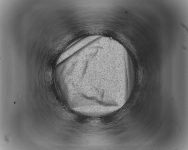 X0000102760113200809080950