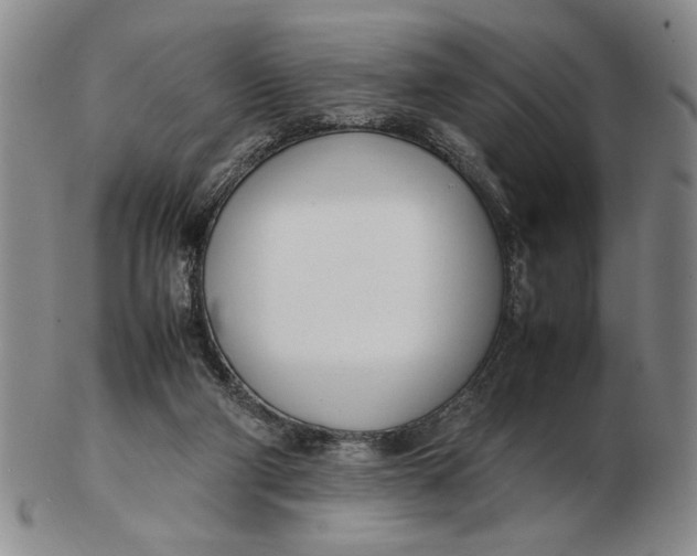 X0000102760114200809080950