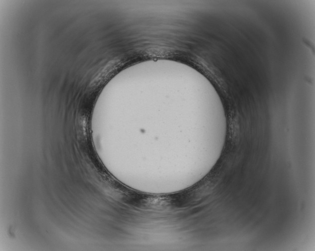 X0000102760117200809080950