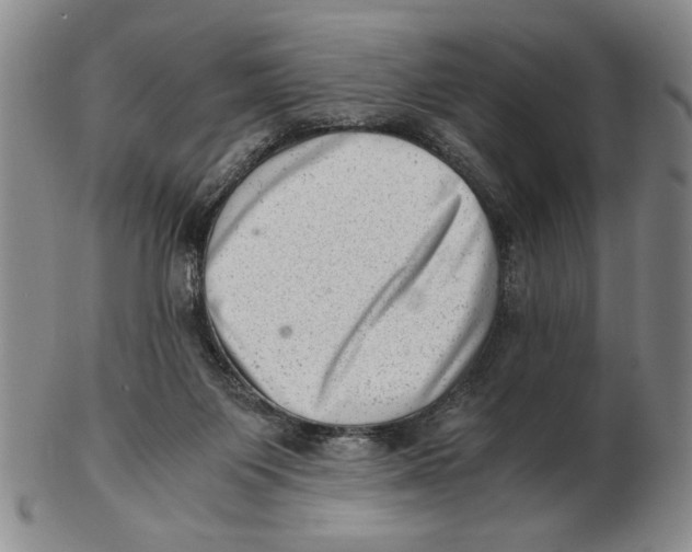 X0000102760119200809080950