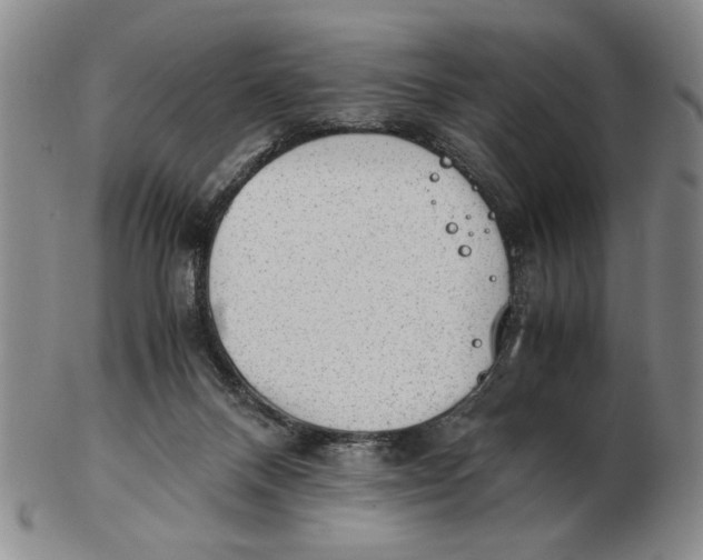 X0000102760120200809080950