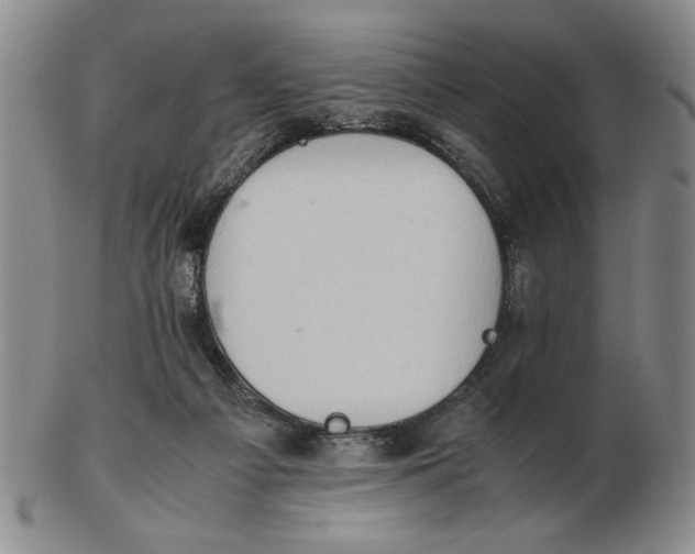 X0000102760121200809080950