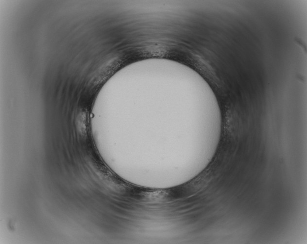 X0000102760122200809080950