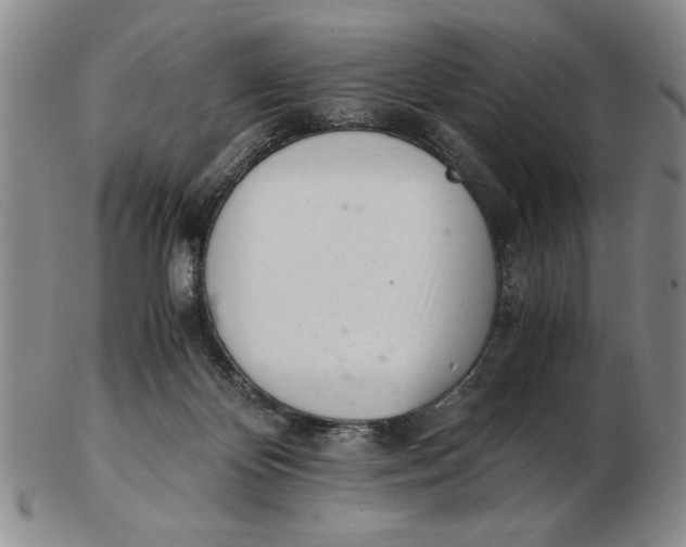 X0000102760124200809080950