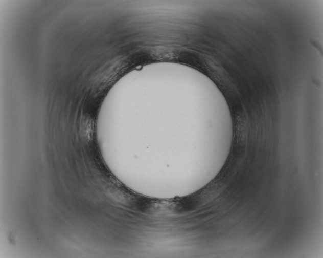 X0000102760125200809080950