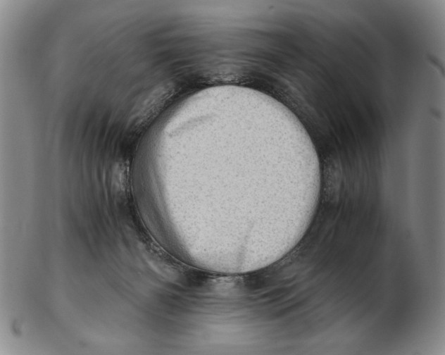 X0000102760126200809080950