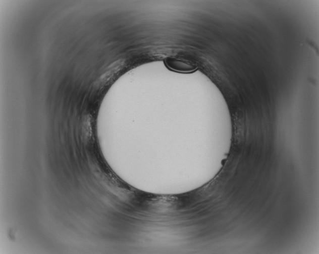 X0000102760128200809080950