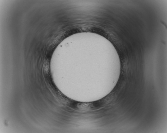 X0000102760129200809080950