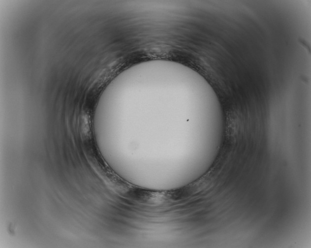 X0000102760130200809080950