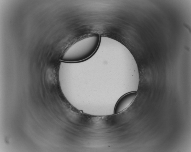 X0000102760136200809080950