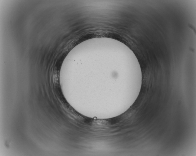 X0000102760137200809080950