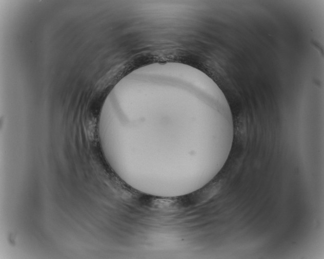 X0000102760139200809080950