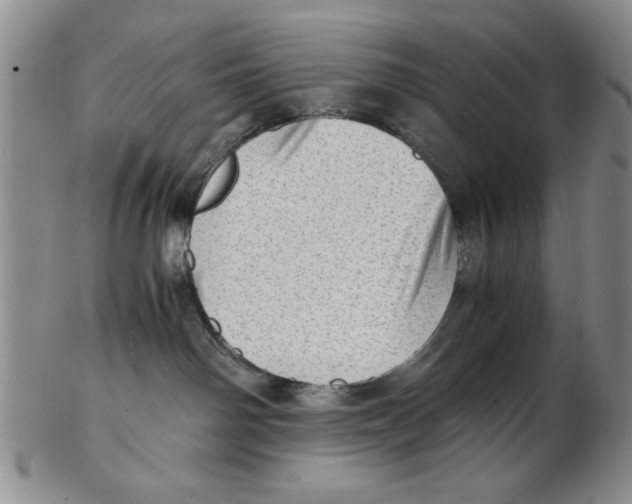 X0000102760142200809080950