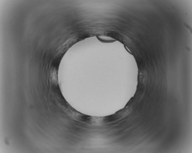 X0000102760143200809080950