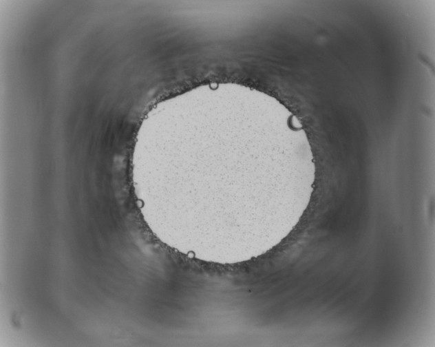 X0000102760144200809080950