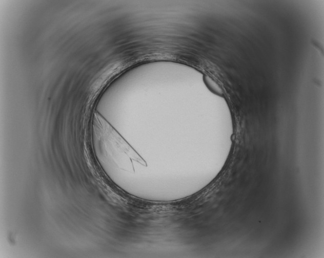 X0000102760145200809080949