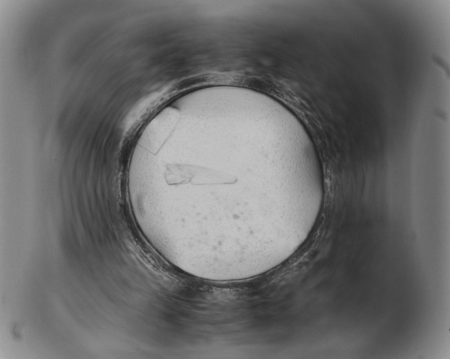 X0000102760149200809080949