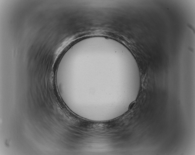 X0000102760152200809080949